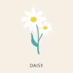 Daisy Icon