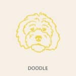 Doodle Icon