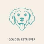 Golden Retriever Icon
