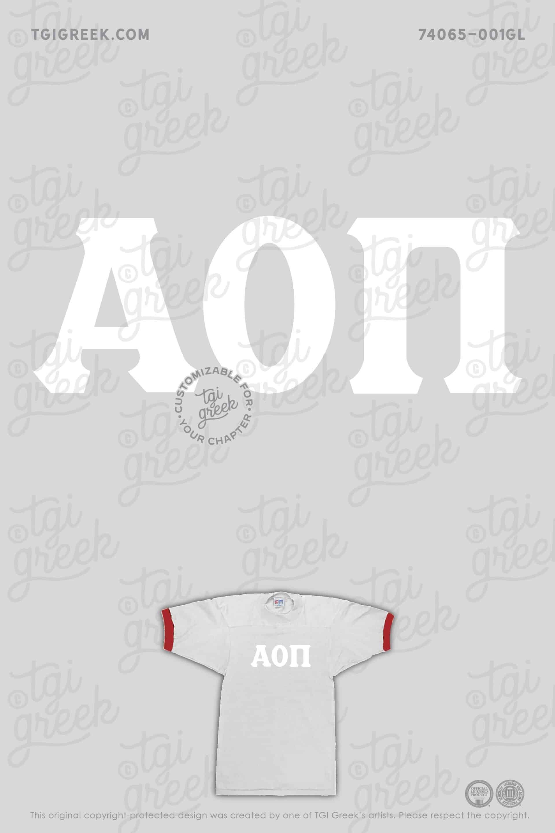 Custom Bid Day Applique Jersey for Alpha Omicron Pi with a Vintage Football Jersey Look
